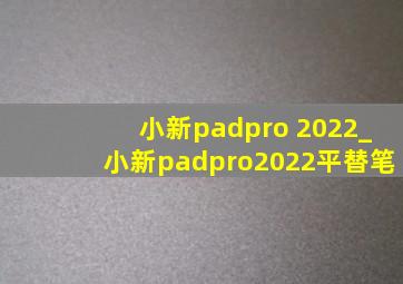 小新padpro 2022_小新padpro2022平替笔